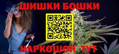 индика Заводоуковск