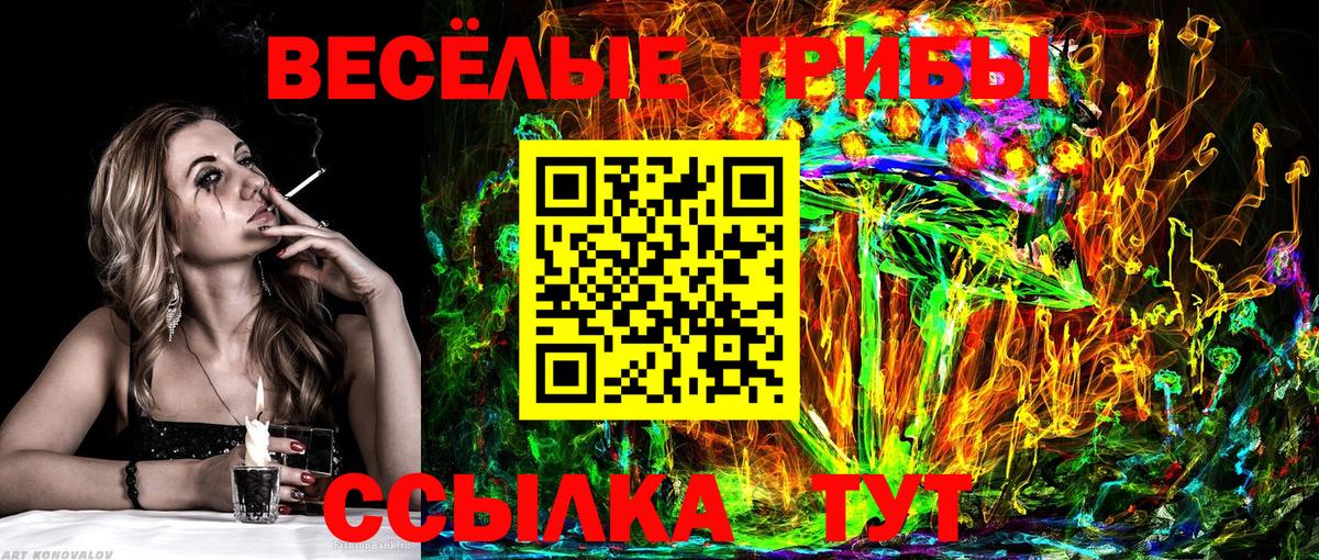 Псилоцибиновые грибы GOLDEN TEACHER  Галлюциногенные грибы ЛСД  Лабинск  Вход с VPN 